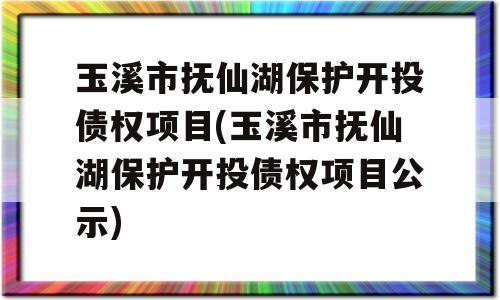 玉溪市抚仙湖保护开投债权项目(玉溪市抚仙湖保护开投债权项目公示)