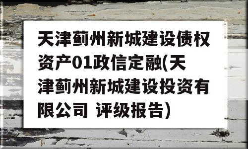 天津蓟州新城建设债权资产01政信定融(天津蓟州新城建设投资有限公司 评级报告)