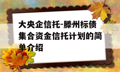 大央企信托-滕州标债集合资金信托计划的简单介绍