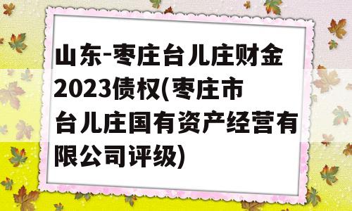 山东-枣庄台儿庄财金2023债权(枣庄市台儿庄国有资产经营有限公司评级)