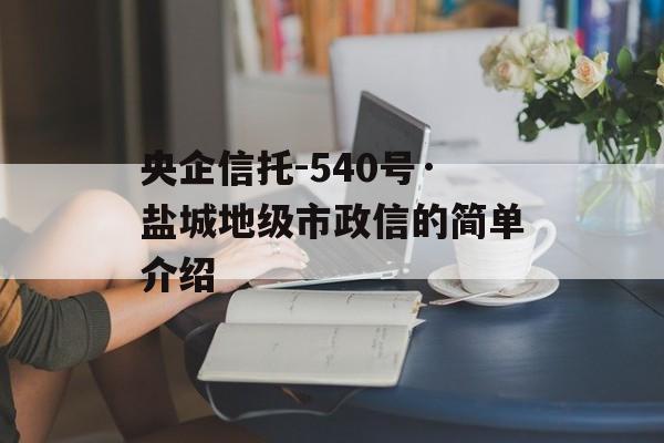 央企信托-540号·盐城地级市政信的简单介绍