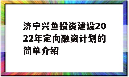 济宁兴鱼投资建设2022年定向融资计划的简单介绍