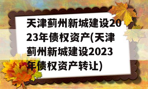 天津蓟州新城建设2023年债权资产(天津蓟州新城建设2023年债权资产转让)