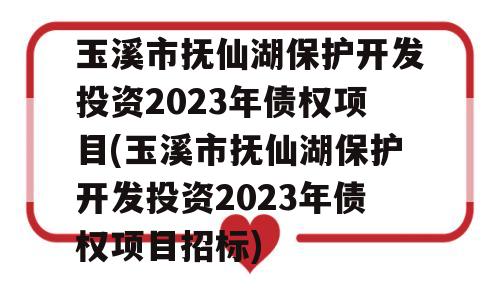 玉溪市抚仙湖保护开发投资2023年债权项目(玉溪市抚仙湖保护开发投资2023年债权项目招标)