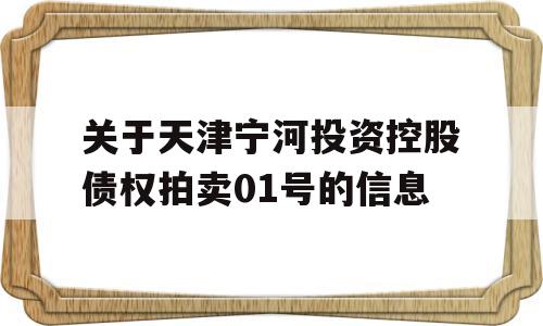 关于天津宁河投资控股债权拍卖01号的信息