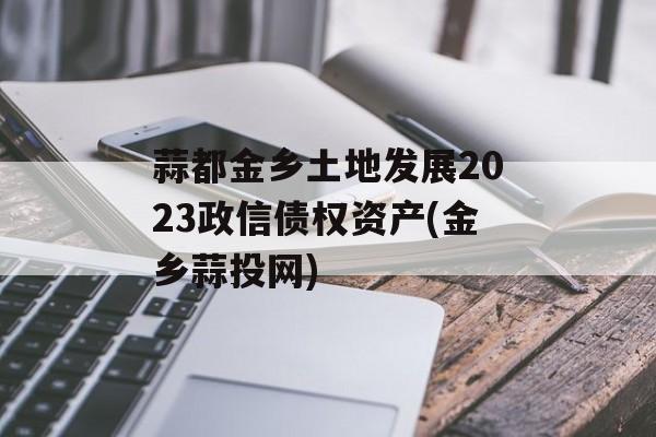 蒜都金乡土地发展2023政信债权资产(金乡蒜投网)