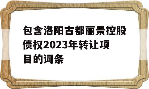 包含洛阳古都丽景控股债权2023年转让项目的词条