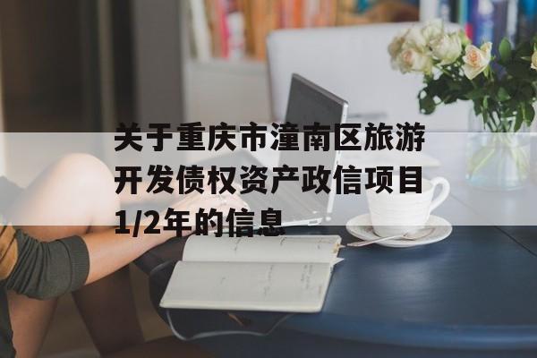 关于重庆市潼南区旅游开发债权资产政信项目1/2年的信息