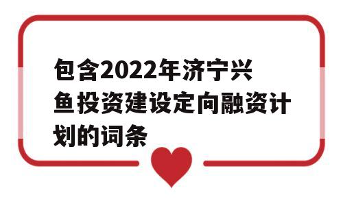 包含2022年济宁兴鱼投资建设定向融资计划的词条