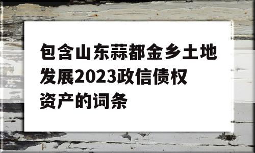 包含山东蒜都金乡土地发展2023政信债权资产的词条