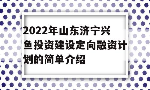 2022年山东济宁兴鱼投资建设定向融资计划的简单介绍