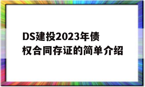 DS建投2023年债权合同存证的简单介绍