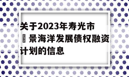 关于2023年寿光市昇景海洋发展债权融资计划的信息