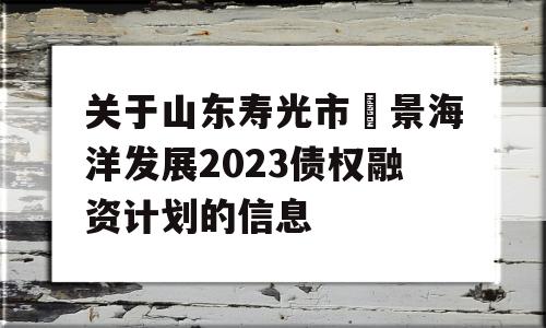 关于山东寿光市昇景海洋发展2023债权融资计划的信息