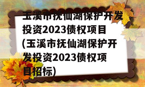 玉溪市抚仙湖保护开发投资2023债权项目(玉溪市抚仙湖保护开发投资2023债权项目招标)