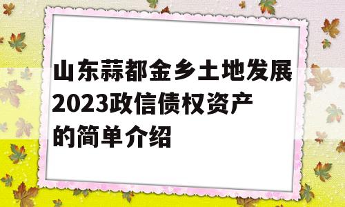 山东蒜都金乡土地发展2023政信债权资产的简单介绍