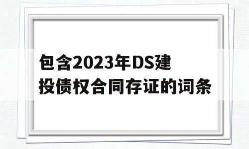 包含2023年DS建投债权合同存证的词条