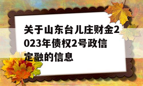 关于山东台儿庄财金2023年债权2号政信定融的信息