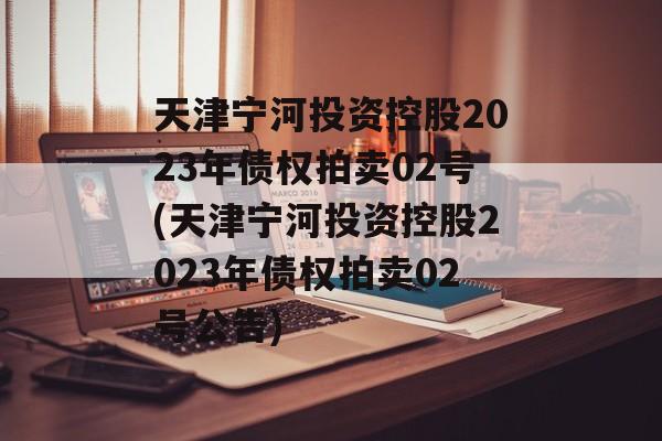 天津宁河投资控股2023年债权拍卖02号(天津宁河投资控股2023年债权拍卖02号公告)