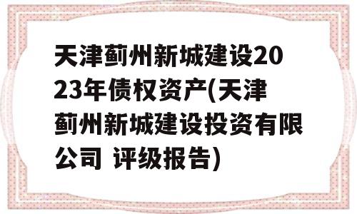 天津蓟州新城建设2023年债权资产(天津蓟州新城建设投资有限公司 评级报告)