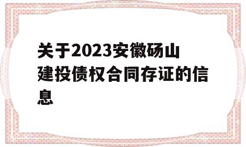 关于2023安徽砀山建投债权合同存证的信息