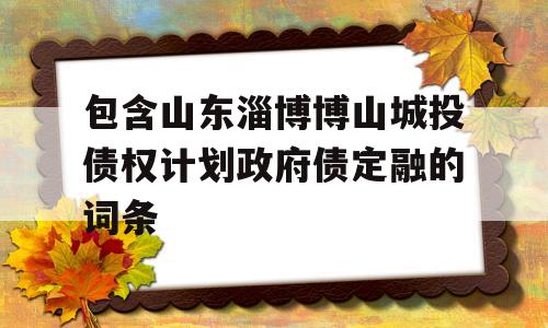 包含山东淄博博山城投债权计划政府债定融的词条