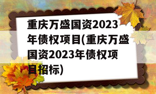 重庆万盛国资2023年债权项目(重庆万盛国资2023年债权项目招标)