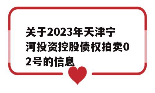 关于2023年天津宁河投资控股债权拍卖02号的信息