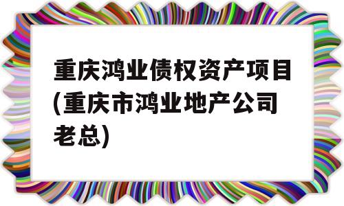 重庆鸿业债权资产项目(重庆市鸿业地产公司老总)