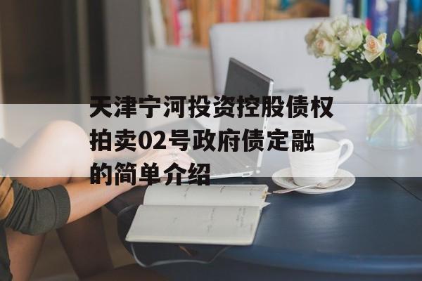 天津宁河投资控股债权拍卖02号政府债定融的简单介绍