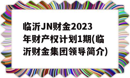 临沂JN财金2023年财产权计划1期(临沂财金集团领导简介)