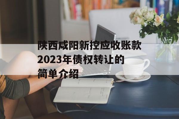 陕西咸阳新控应收账款2023年债权转让的简单介绍