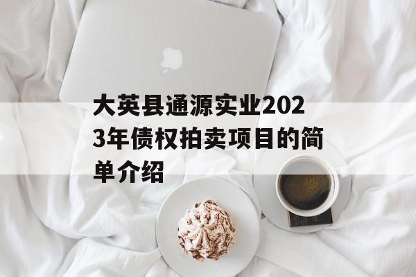 大英县通源实业2023年债权拍卖项目的简单介绍