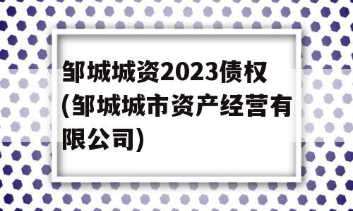 邹城城资2023债权(邹城城市资产经营有限公司)