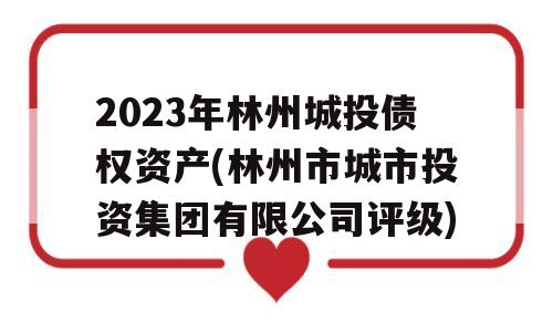 2023年林州城投债权资产(林州市城市投资集团有限公司评级)