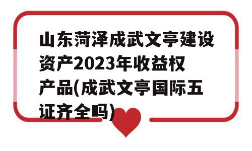 山东菏泽成武文亭建设资产2023年收益权产品(成武文亭国际五证齐全吗)