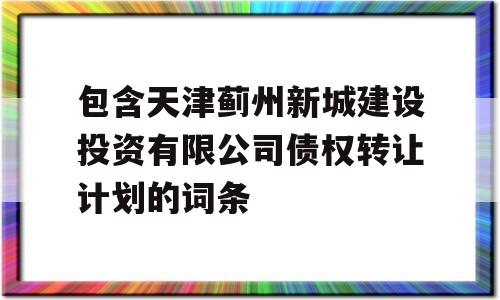 包含天津蓟州新城建设投资有限公司债权转让计划的词条