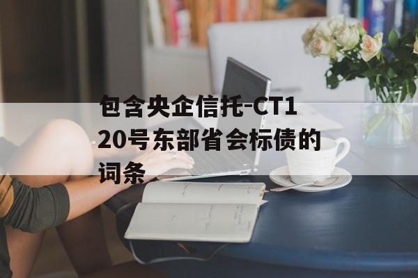 包含央企信托-CT120号东部省会标债的词条