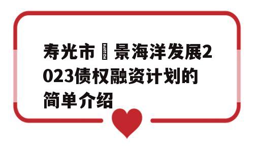 寿光市昇景海洋发展2023债权融资计划的简单介绍