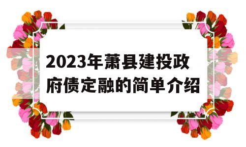 2023年萧县建投政府债定融的简单介绍