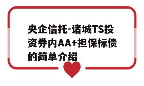 央企信托-诸城TS投资券内AA+担保标债的简单介绍