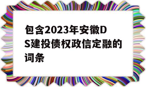 包含2023年安徽DS建投债权政信定融的词条