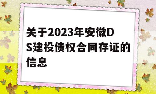 关于2023年安徽DS建投债权合同存证的信息