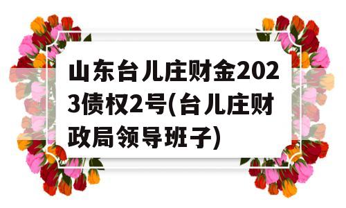 山东台儿庄财金2023债权2号(台儿庄财政局领导班子)