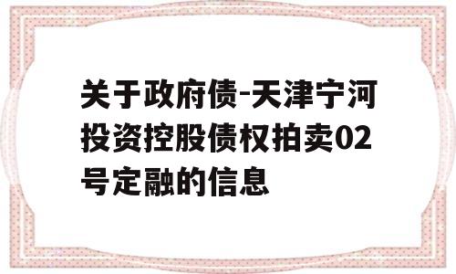 关于政府债-天津宁河投资控股债权拍卖02号定融的信息