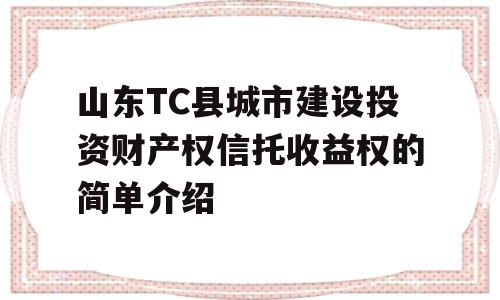 山东TC县城市建设投资财产权信托收益权的简单介绍