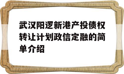 武汉阳逻新港产投债权转让计划政信定融的简单介绍