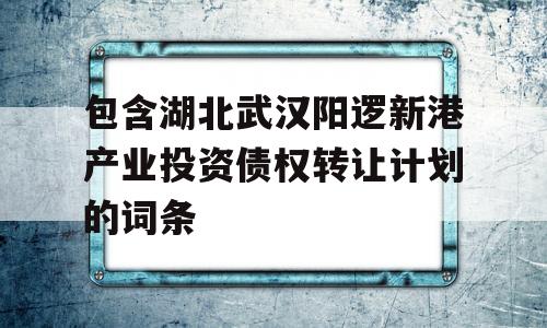 包含湖北武汉阳逻新港产业投资债权转让计划的词条