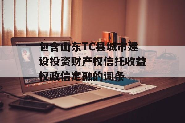 包含山东TC县城市建设投资财产权信托收益权政信定融的词条