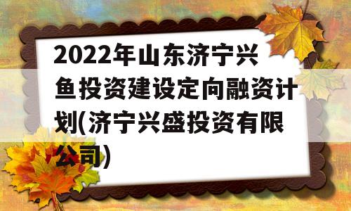 2022年山东济宁兴鱼投资建设定向融资计划(济宁兴盛投资有限公司)